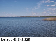 Плещеево озеро весенним днем (2019 год). Стоковое фото, фотограф Илюхина Наталья / Фотобанк Лори