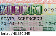 Close-up of a Schengen visa with detailed security features. Стоковое фото, фотограф Емельянов Евгений Викторович / Фотобанк Лори