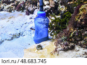 Close-up of an aquarium sand cleaner device used to remove debris from the substrate. Equipment standing upright in marine tank among algae and rocks. Стоковое фото, фотограф Татьяна Терехина / Фотобанк Лори