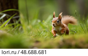 agile red squirrel ai generated. Стоковое AI-изображение, AI-художник Vectorwin / Фотобанк Лори