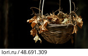 shriveled wilted plant ai generated. Стоковое AI-изображение, AI-художник Vectorwin / Фотобанк Лори