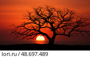 branches black tree ai generated. Стоковое AI-изображение, AI-художник Vectorwin / Фотобанк Лори