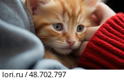 nuzzling red kitten ai generated. Стоковое AI-изображение, AI-художник Vectorwin / Фотобанк Лори