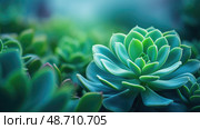 chlorophyll plants isolated ai generated. Стоковое AI-изображение, AI-художник Vectorwin / Фотобанк Лори