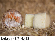 Head and chunks of aged hard cheese in hayloft. Стоковое фото, фотограф Татьяна Яцевич / Фотобанк Лори