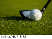Closeup Golf ball on green grass on course, Sport and lifestyle. Стоковое фото, фотограф Sebastian Duda / PantherMedia / Фотобанк Лори