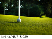 Closeup Golf ball on green grass on course. Стоковое фото, фотограф Sebastian Duda / PantherMedia / Фотобанк Лори