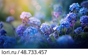 hyacinth purple and blue flowers ai generated. Стоковое AI-изображение, AI-художник Vectorwin / Фотобанк Лори
