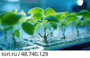 biotechnology plant research ai generated. Стоковое AI-изображение, AI-художник Vectorwin / Фотобанк Лори