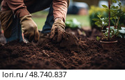 trowel plant dirt ai generated. Стоковое AI-изображение, AI-художник Vectorwin / Фотобанк Лори