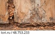 destruction house termite damage ai generated. Стоковое AI-изображение, AI-художник Vectorwin / Фотобанк Лори