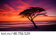 sunsilhouette beach tree ai generated. Стоковое AI-изображение, AI-художник Vectorwin / Фотобанк Лори