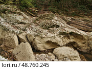 Сочи. Тропа, ведущая к Агурским водопадам осенью (2019 год). Редакционное фото, фотограф Илюхина Наталья / Фотобанк Лори