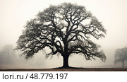 mist large oak tree silhouette ai generated. Стоковое AI-изображение, AI-художник Vectorwin / Фотобанк Лори