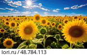 noon yellow sun ai generated. Стоковое AI-изображение, AI-художник Vectorwin / Фотобанк Лори