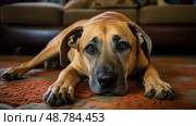 companion black mouth cur ai generated. Стоковое AI-изображение, AI-художник Vectorwin / Фотобанк Лори