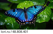 wings swallowtail blue ai generated. Стоковое AI-изображение, AI-художник Vectorwin / Фотобанк Лори