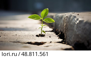 nature plant seedling ai generated. Стоковое AI-изображение, AI-художник Vectorwin / Фотобанк Лори