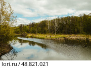 Spring scene with Himka river and forest in Pokrovskoye-Streshnevo park in Moscow. Стоковое фото, фотограф Константин Григорьев / Фотобанк Лори