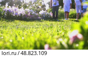 Elderly people playing pétanque on grass. Стоковое видео, видеограф Igor Skripachev / Фотобанк Лори