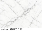 Classic white marble texture enriched with soft grey veining patterns lending sophisticated luxury vibe for elegant interior surfaces and lifestyle branding visuals. Стоковое фото, фотограф Павел Муравьев / Фотобанк Лори