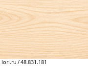 Light oak wood texture background surface with minimal grain detail ideal for modern design applications interior. Стоковое фото, фотограф Павел Муравьев / Фотобанк Лори