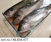 Три радужные форели на стеклянном блюде. Three rainbow trout on a glass dish. Стоковое фото, фотограф Денис Баданин / Фотобанк Лори