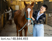Woman with tethered horse in stable. Стоковое фото, фотограф Яков Филимонов / Фотобанк Лори