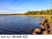 Берег озера Елеярви освещен вечерним солнцем. Стоковое фото, фотограф Жигалов Евгений Павлович / Фотобанк Лори