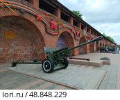 Пушка на выставке военной техники в Нижегородском Кремле. Редакционное фото, фотограф Наталия Ануфриева / Фотобанк Лори