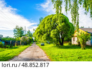Дорога в деревне. Редакционное фото, фотограф Илья Старков / Фотобанк Лори