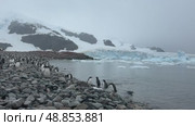 Big Iceberg in Antarctica Winter Scenery, Amazing Shape Ice Formation of Massive Large Enormous Blue Icebergs in Antarctic Peninsula Landscape Seascape with Ocean Sea Water. Стоковое видео, видеограф Vladimir / Фотобанк Лори