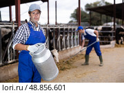Skilled middle-aged male farmer carrying milk churn near stall with cows during work on dairy farm. Стоковое фото, фотограф Яков Филимонов / Фотобанк Лори