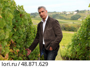 Winegrower in the vineyard. Стоковое фото, агентство Ingram Publishing / Фотобанк Лори