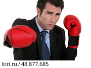 Businessman with boxing gloves. Стоковое фото, агентство Ingram Publishing / Фотобанк Лори