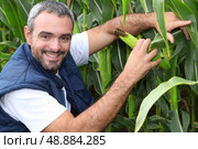 Farmer kneeling by crop. Стоковое фото, агентство Ingram Publishing / Фотобанк Лори