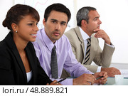 board of directors. Стоковое фото, агентство Ingram Publishing / Фотобанк Лори