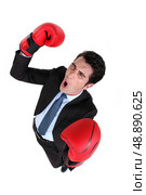 Businessman wearing boxing gloves. Стоковое фото, агентство Ingram Publishing / Фотобанк Лори