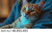 An AI therapy cat with thermo-reactive fur purrs rhythmically against a veteran's chest in a dim PTSD support group room. Cat sitting on human chest and arms. Стоковое AI-видео, аниматор Sergey Grishin / Фотобанк Лори