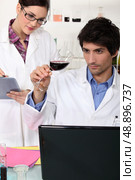 oenologists in a lab. Стоковое фото, агентство Ingram Publishing / Фотобанк Лори