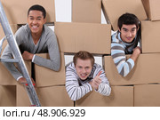 trio of male flatmates moving in. Стоковое фото, агентство Ingram Publishing / Фотобанк Лори
