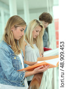 Students reading assignments. Стоковое фото, агентство Ingram Publishing / Фотобанк Лори