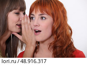 Women gossiping. Стоковое фото, агентство Ingram Publishing / Фотобанк Лори