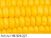 Extreme close up of yellow corn cobs. Стоковое фото, агентство Ingram Publishing / Фотобанк Лори