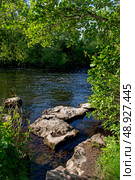 View on the river Liffey in the summer time. Стоковое фото, фотограф Татьяна Кахилл / Фотобанк Лори
