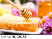 honey is pouring into honeycomb. Стоковое фото, агентство Ingram Publishing / Фотобанк Лори