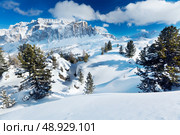 Winter trees in alp mountains. Стоковое фото, агентство Ingram Publishing / Фотобанк Лори