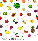 Fresh fruits seamless pattern with pear watermelon kiwi and garnet vector illustration. Стоковая иллюстрация, агентство Ingram Publishing / Фотобанк Лори
