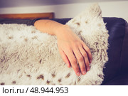 The hand of a young woman relaxing at home. Стоковое фото, агентство Ingram Publishing / Фотобанк Лори