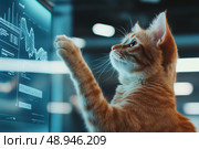 A dynamic cat entrepreneur captivates an audience in front of a sleek glass whiteboard. This charismatic feline presents a groundbreaking startup idea with charm and eloquence. Стоковое AI-изображение, AI-художник Nart / Фотобанк Лори